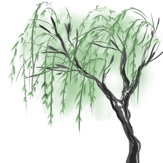 春天绿色春季水墨柳树柳条柳叶春季海报设计PNG免扣素材