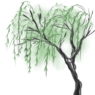 春天绿色春季水墨柳树柳条柳叶春季海报设计PNG免扣素材