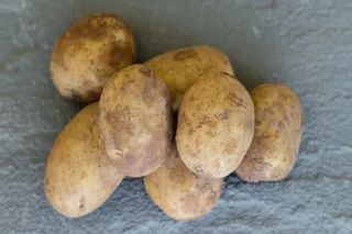 生土豆蔬菜图片