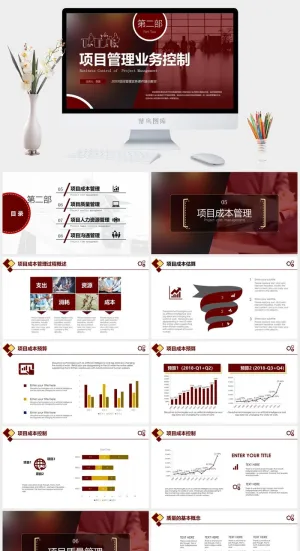 公司企业项目管理流程PPT模板预览图