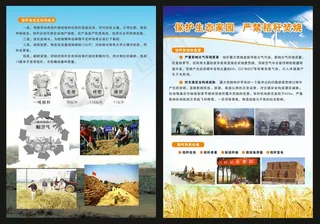 焚烧单页彩页设计印刷