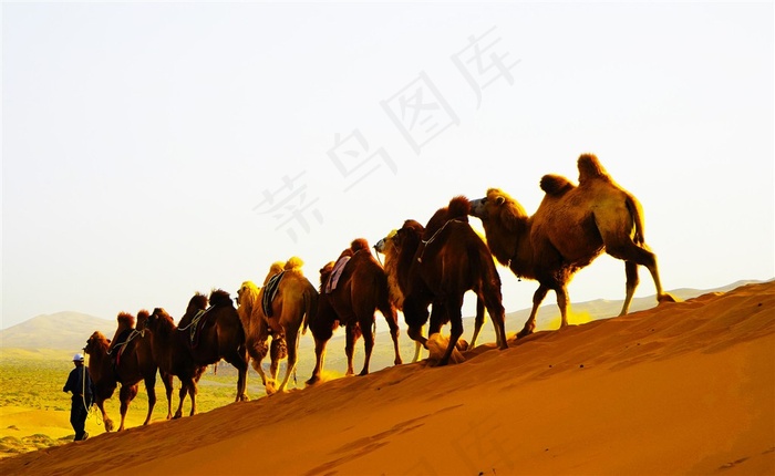 内蒙古巴丹吉林沙漠素材图片