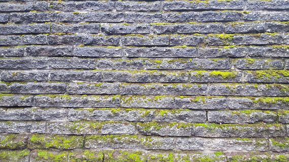 青苔石墙背景图片