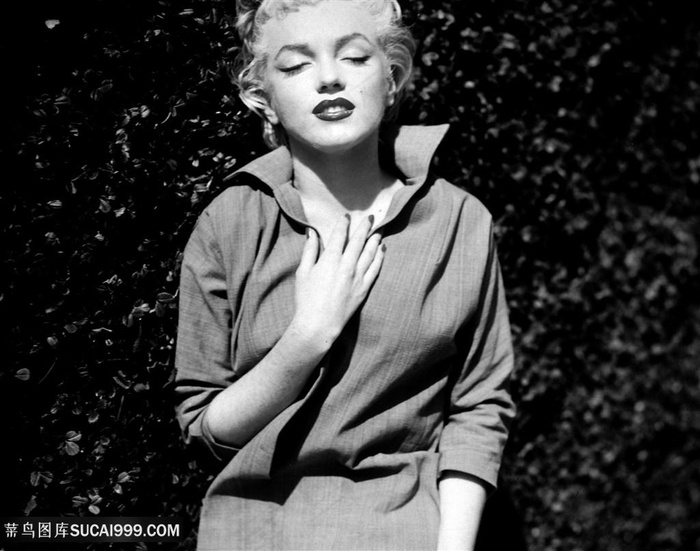 时尚黑白唯美玛丽莲梦露装饰画