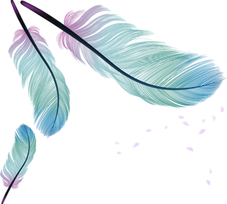 羽毛彩色卡通