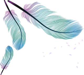 羽毛彩色卡通