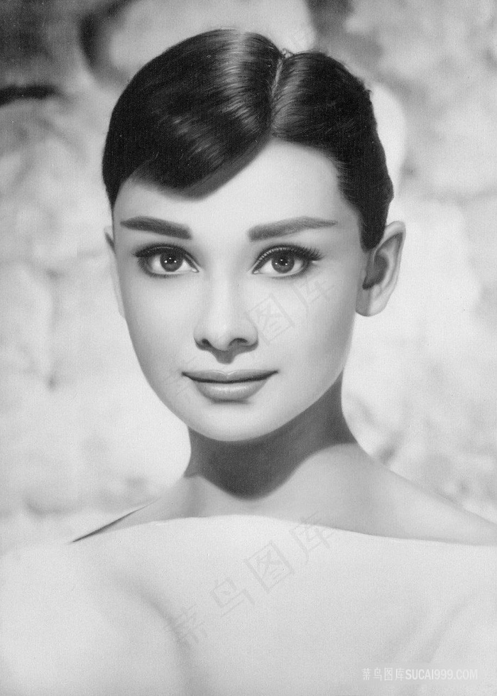 赫本黑白艺术画