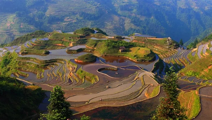 贵州加榜梯田风景摄影图