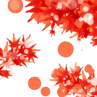 秋季红色叶子免抠素材