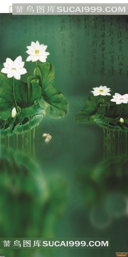 唯美荷花影楼背景图