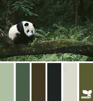 动物配色色卡色彩搭配