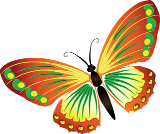 卡通动画动画蝴蝶免扣PNG手绘插画图片素材 (146)