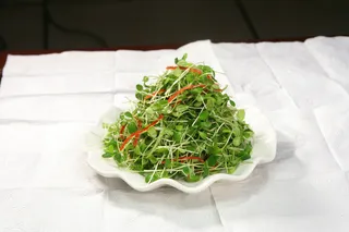 榄油香椿苗-汇源饺子城