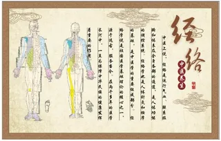 医中医养生保健古典展板经络