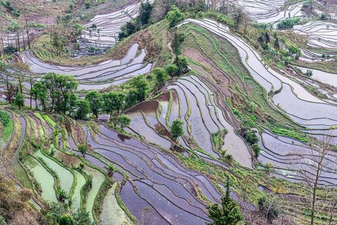 老虎嘴梯田