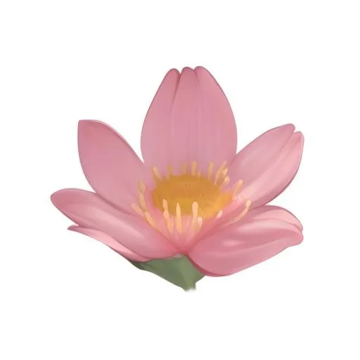 花免抠(2048x2048)