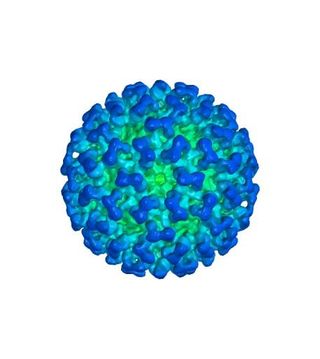 冠状病毒 PNG免抠