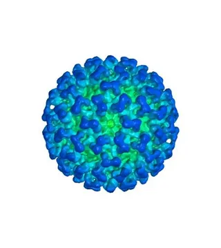 冠状病毒 PNG免抠