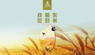 大米灯箱画面竖