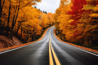 秋天蜿蜒的公路两侧的金黄色红色树木摄影图