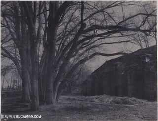 大树村庄美景风景画