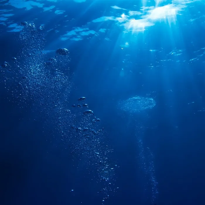 美丽的海底图片背景