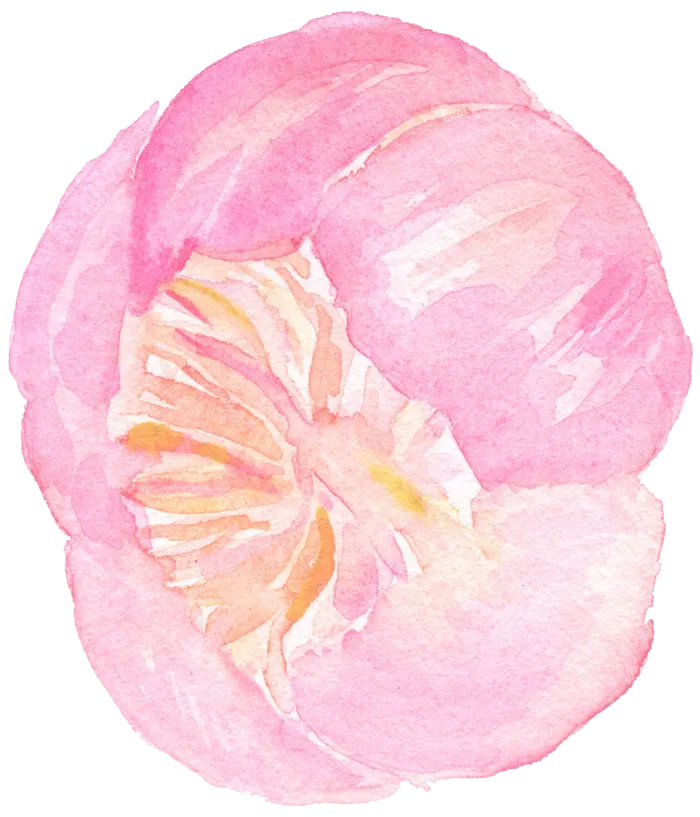 鲜花玫瑰免扣素材