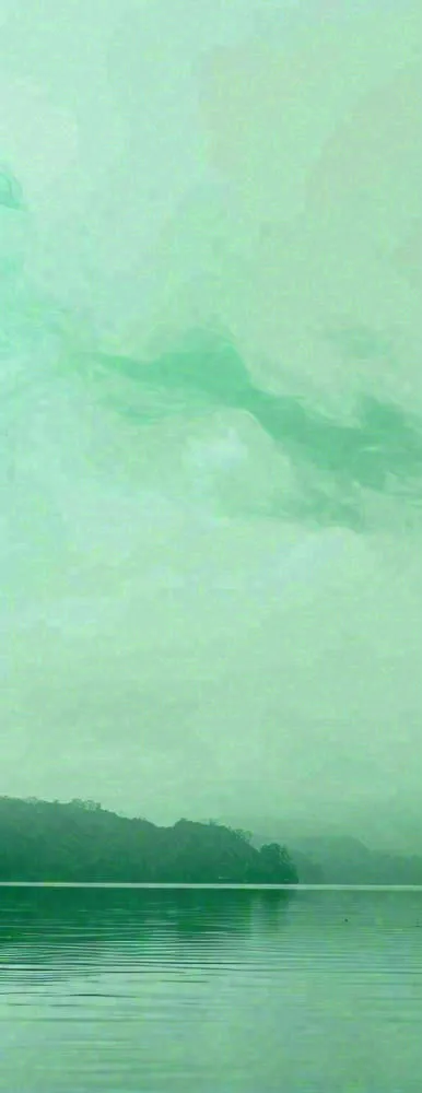 中国风绿色唯美已经云海河湖竹子，水面倒影(442x1143)