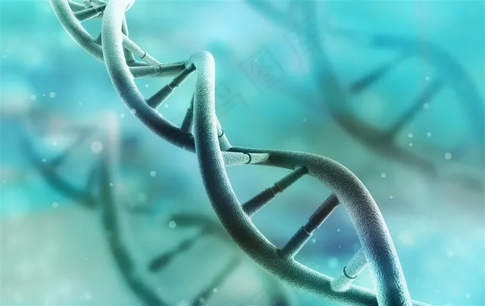 显微镜下的DNA分子结构