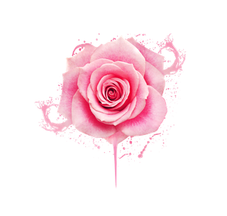 鲜花玫瑰免扣素材