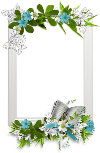 绿植边框卡通简笔谷雨