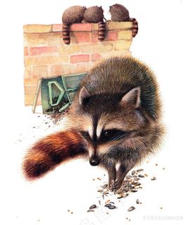 松鼠高清艺术油画