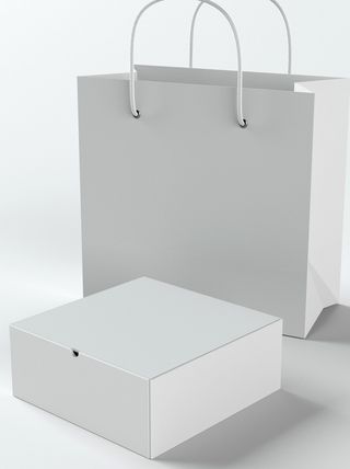 VI样机贴图手提袋包装logo样机