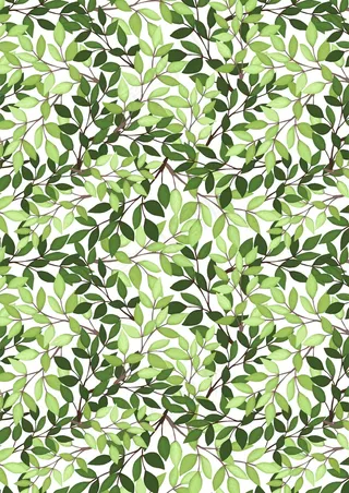 小清新 绿叶背景