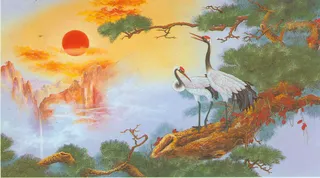 高清松鹤图片下载