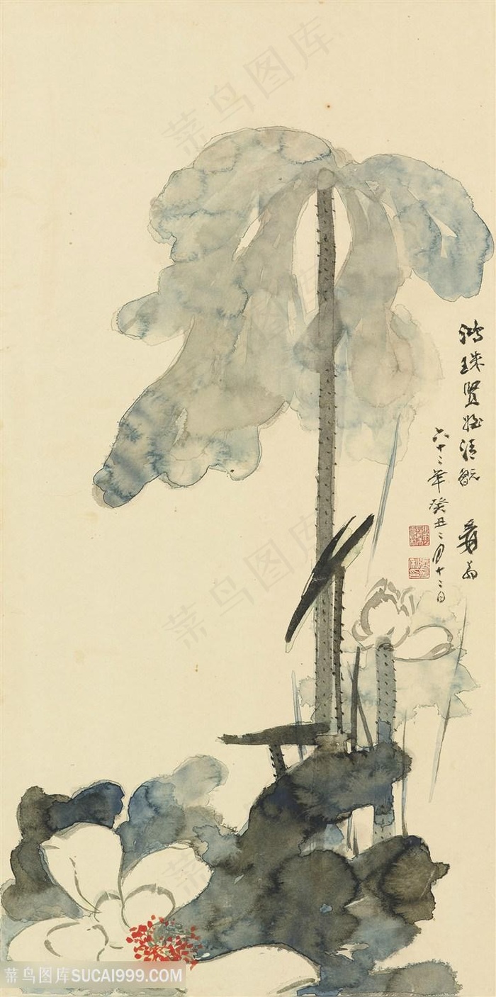 张大千现代白荷花国画图片