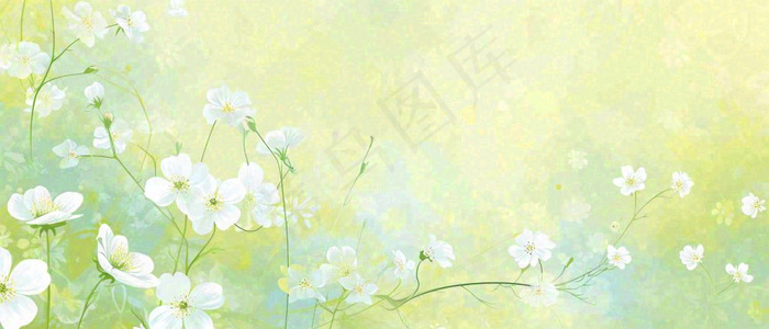 清新白色小花野花野草春天萌芽手绘，春分(1680x720)