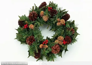 粘着松果的圣诞花环