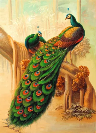 雪踏雀屏图片素材