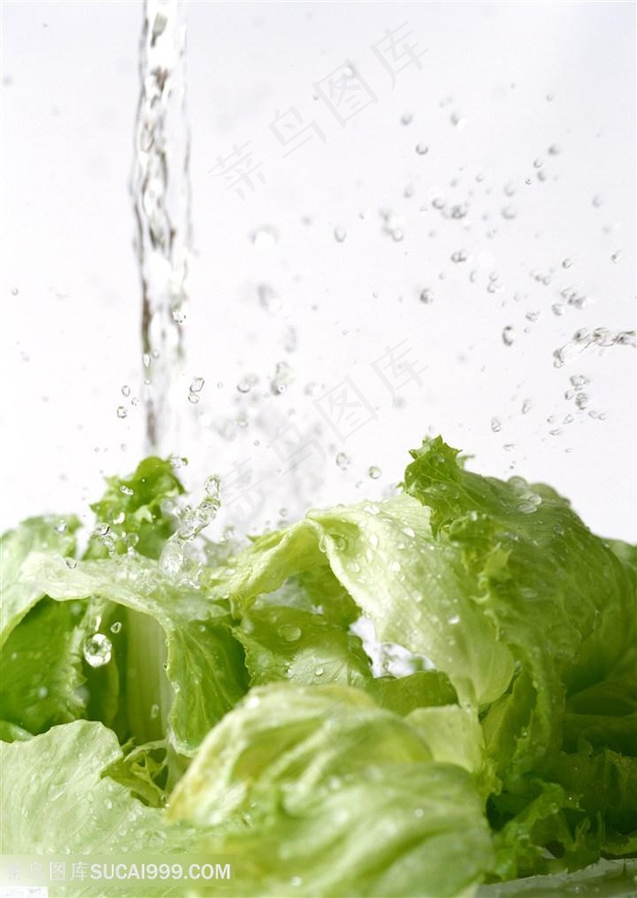 新鲜生菜蔬菜高清素材