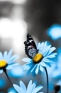 蝴蝶鲜花简约渐变背景