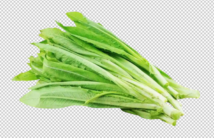 油麦菜免扣素材