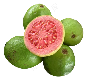 番石榴免抠素材 (46)