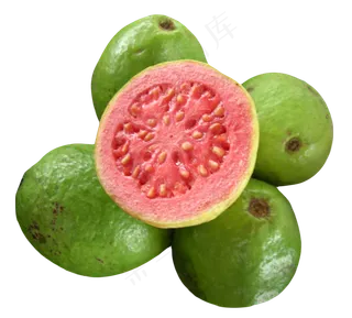 番石榴免抠素材 (46)