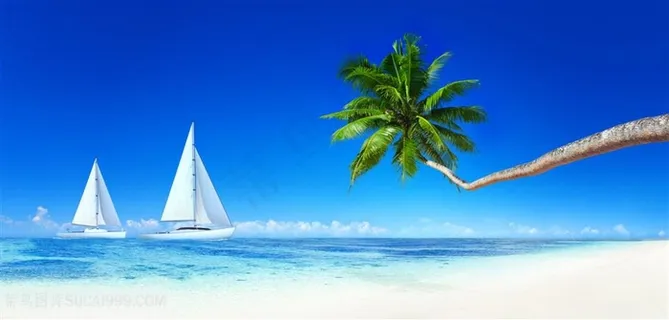 高清唯美海边椰树帆船风景图片 高清唯美海边椰树帆船风景图片