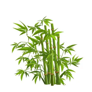 清新卡通竹子元素