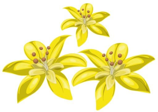 百合花免抠(600x424)