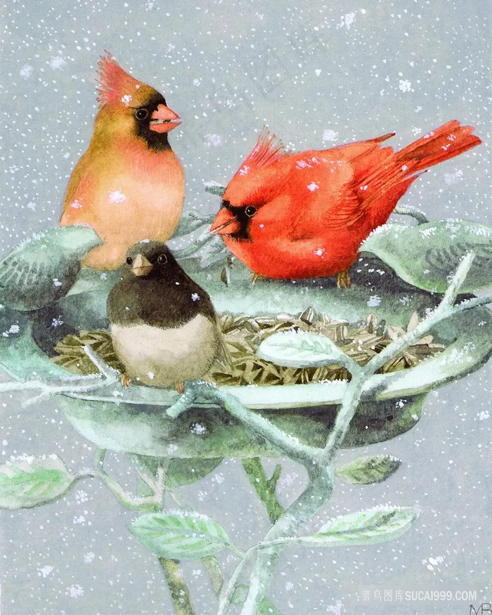 雪天鸟儿艺术插画