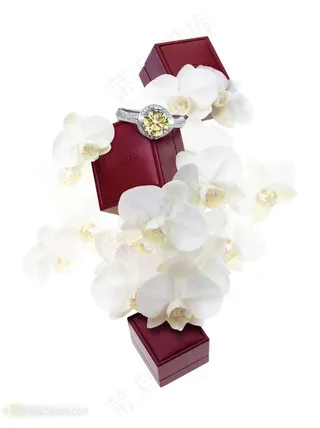 兰花背景红色首饰盒排列