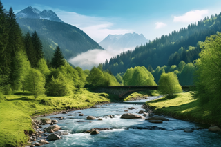 清晨雾气下的森林河流摄影图 